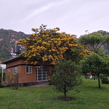 Posada Meztitla Tepoztlan Bagian luar foto